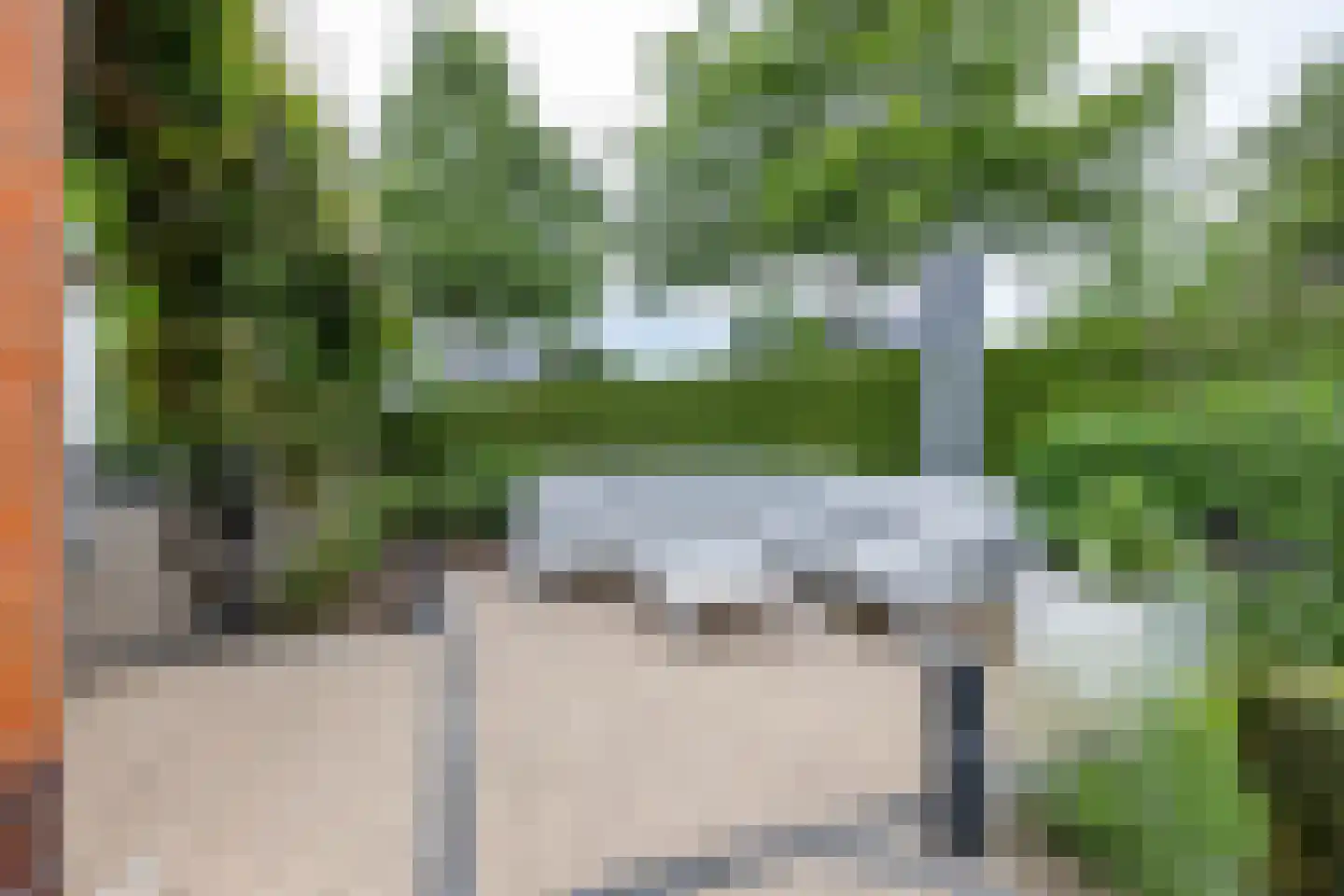 De Koppel Paarden 2 Marum thumbnail 66