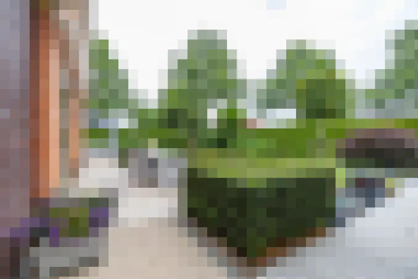 De Koppel Paarden 2 Marum thumbnail 71