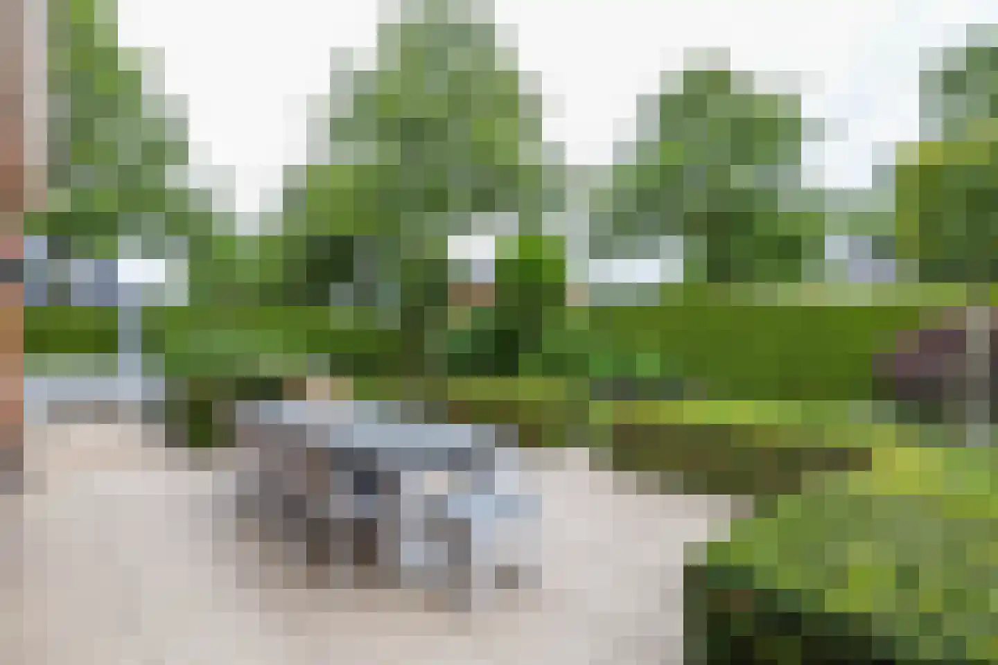 De Koppel Paarden 2 Marum thumbnail 72