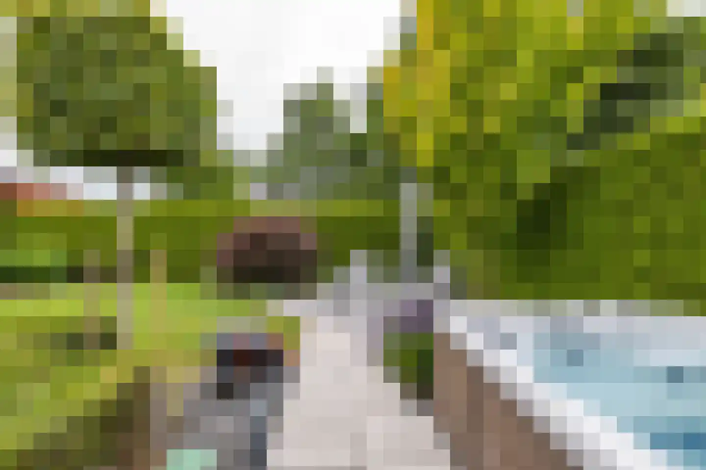 De Koppel Paarden 2 Marum thumbnail 73