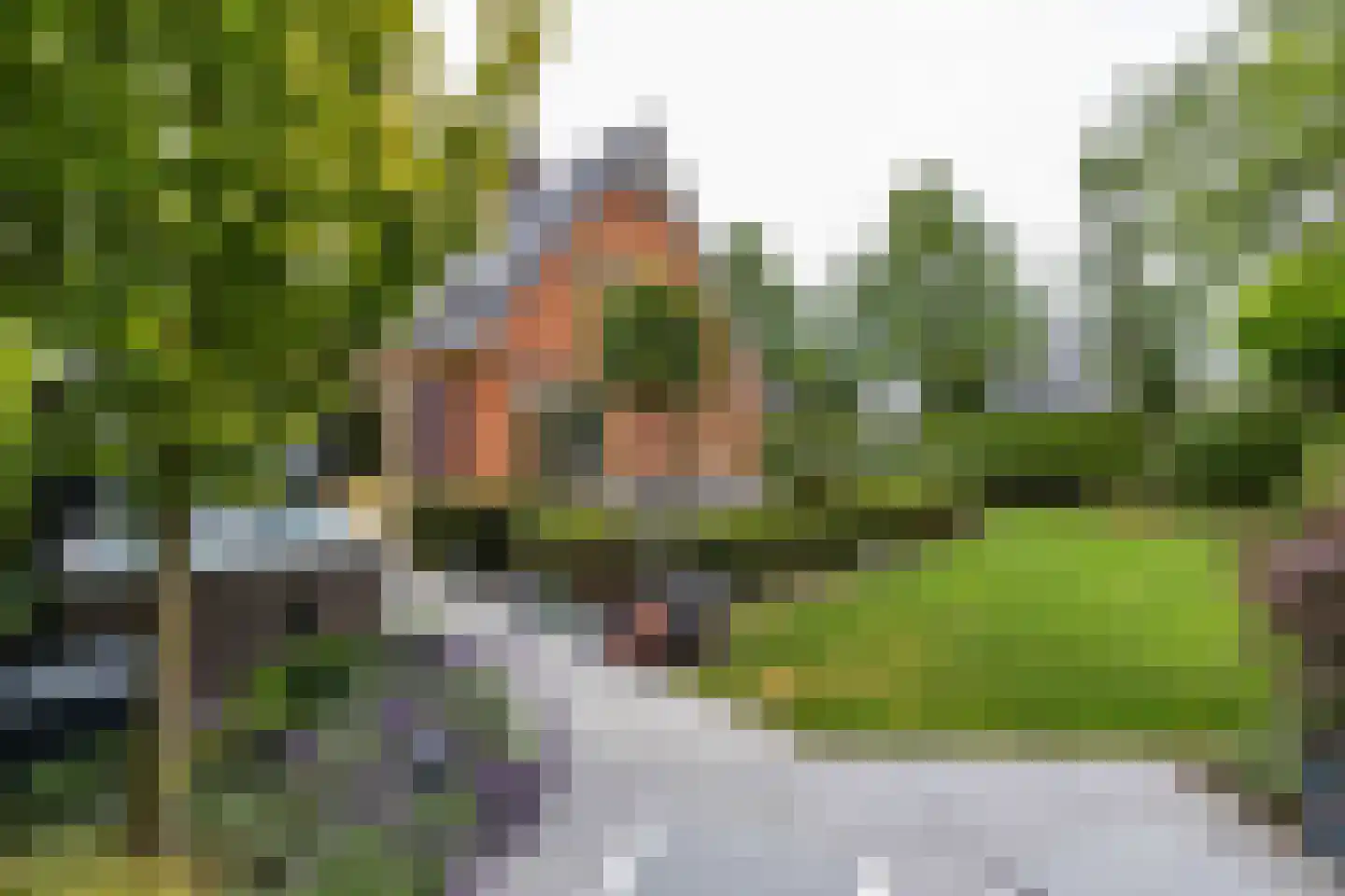 De Koppel Paarden 2 Marum thumbnail 75