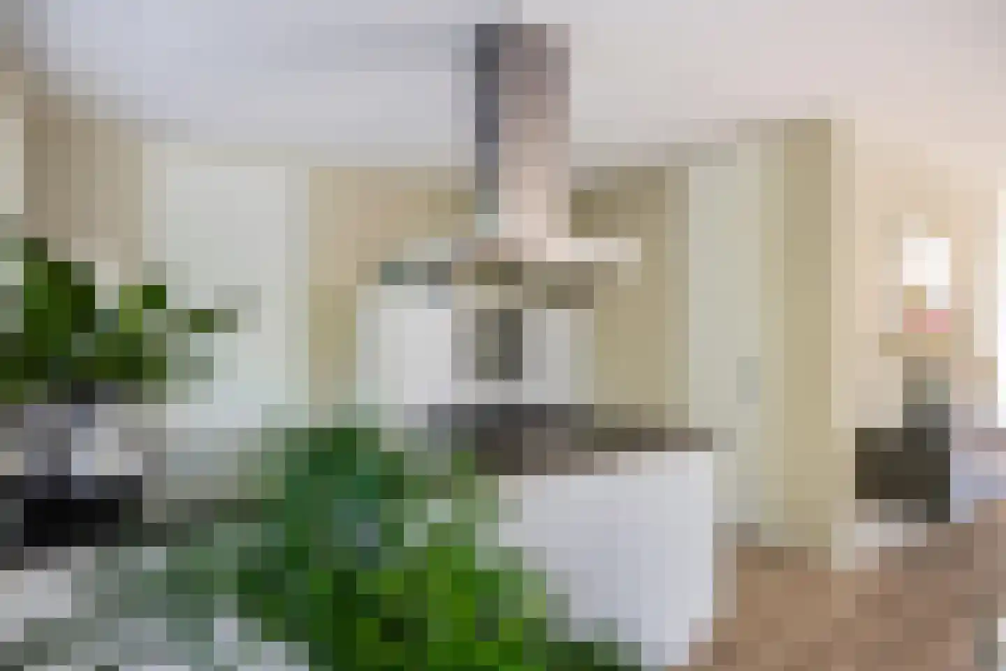 De Koppel Paarden 4 Marum thumbnail 22