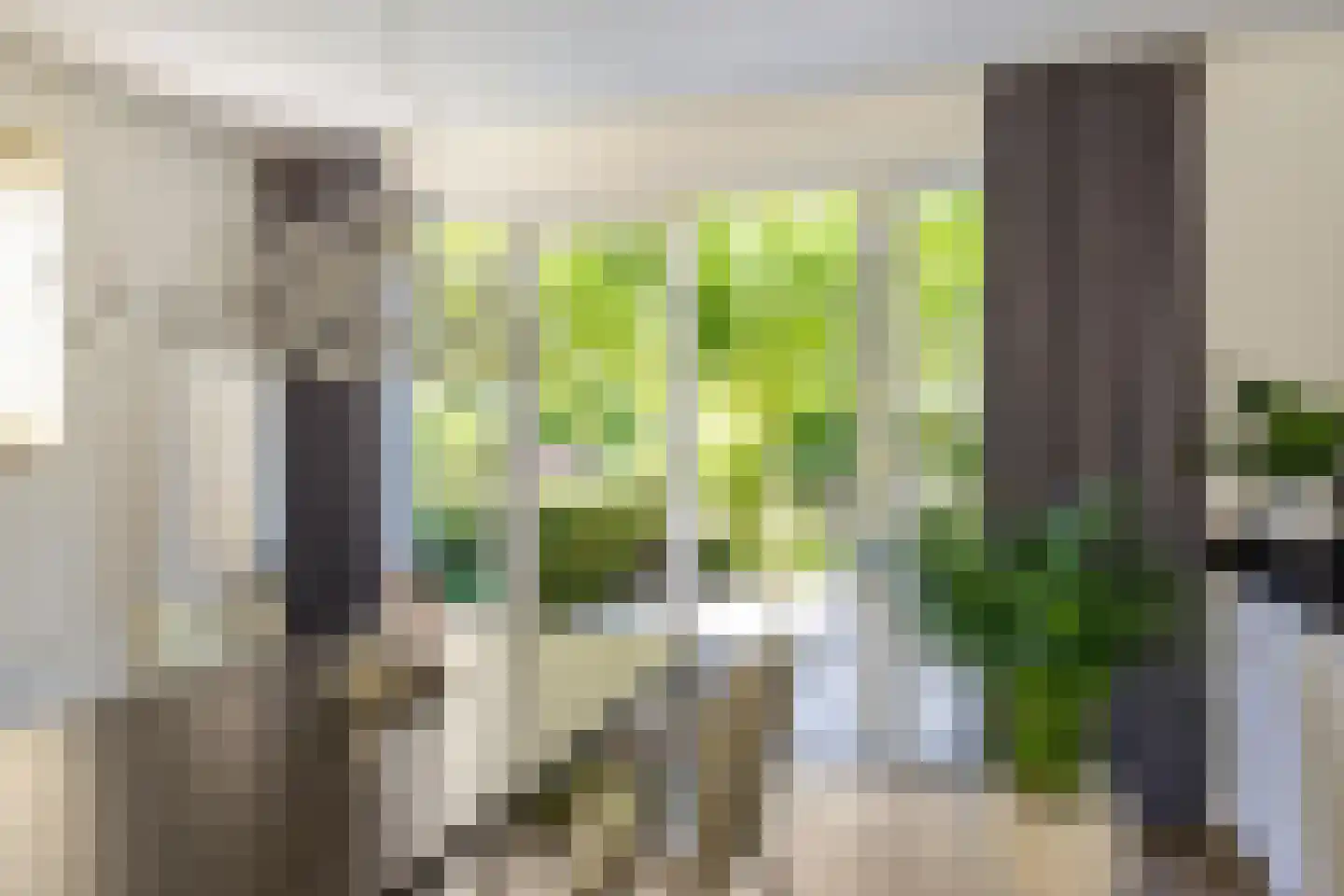 De Koppel Paarden 4 Marum thumbnail 33