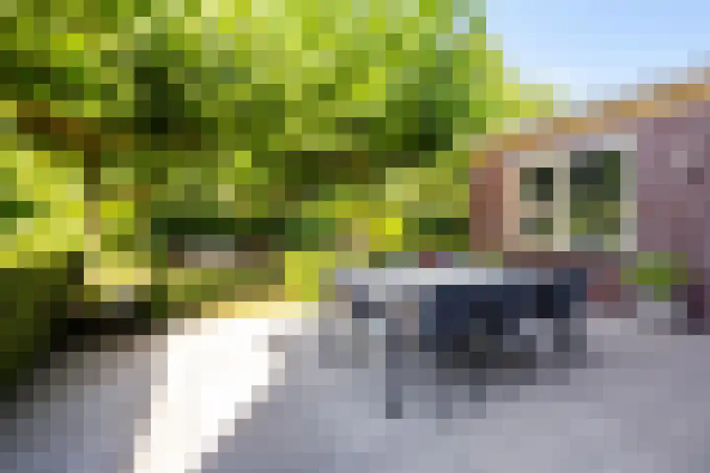 De Koppel Paarden 4 Marum thumbnail 35