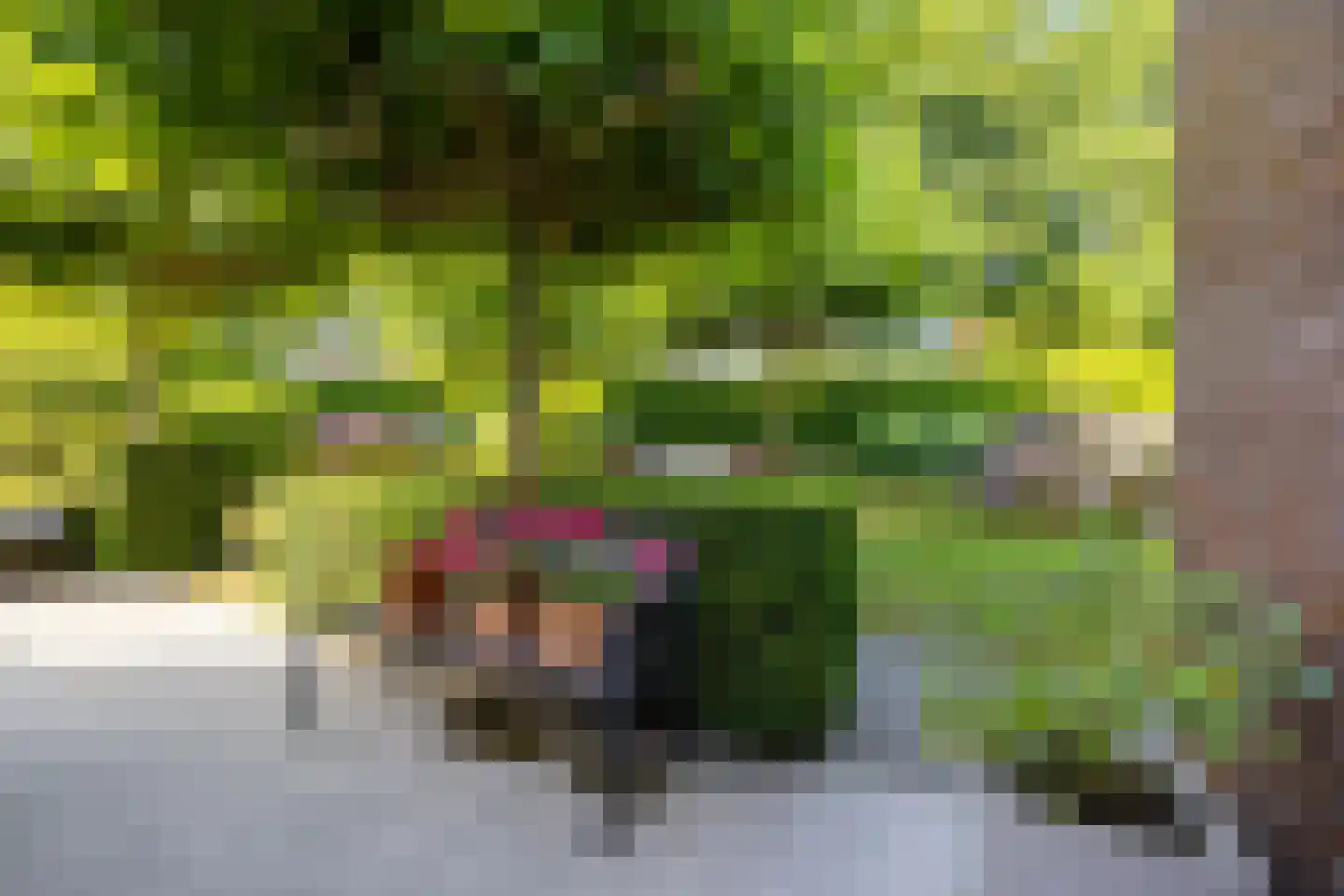 De Koppel Paarden 4 Marum thumbnail 36