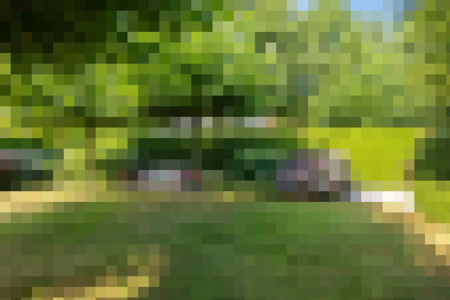 De Koppel Paarden 4 Marum thumbnail 37