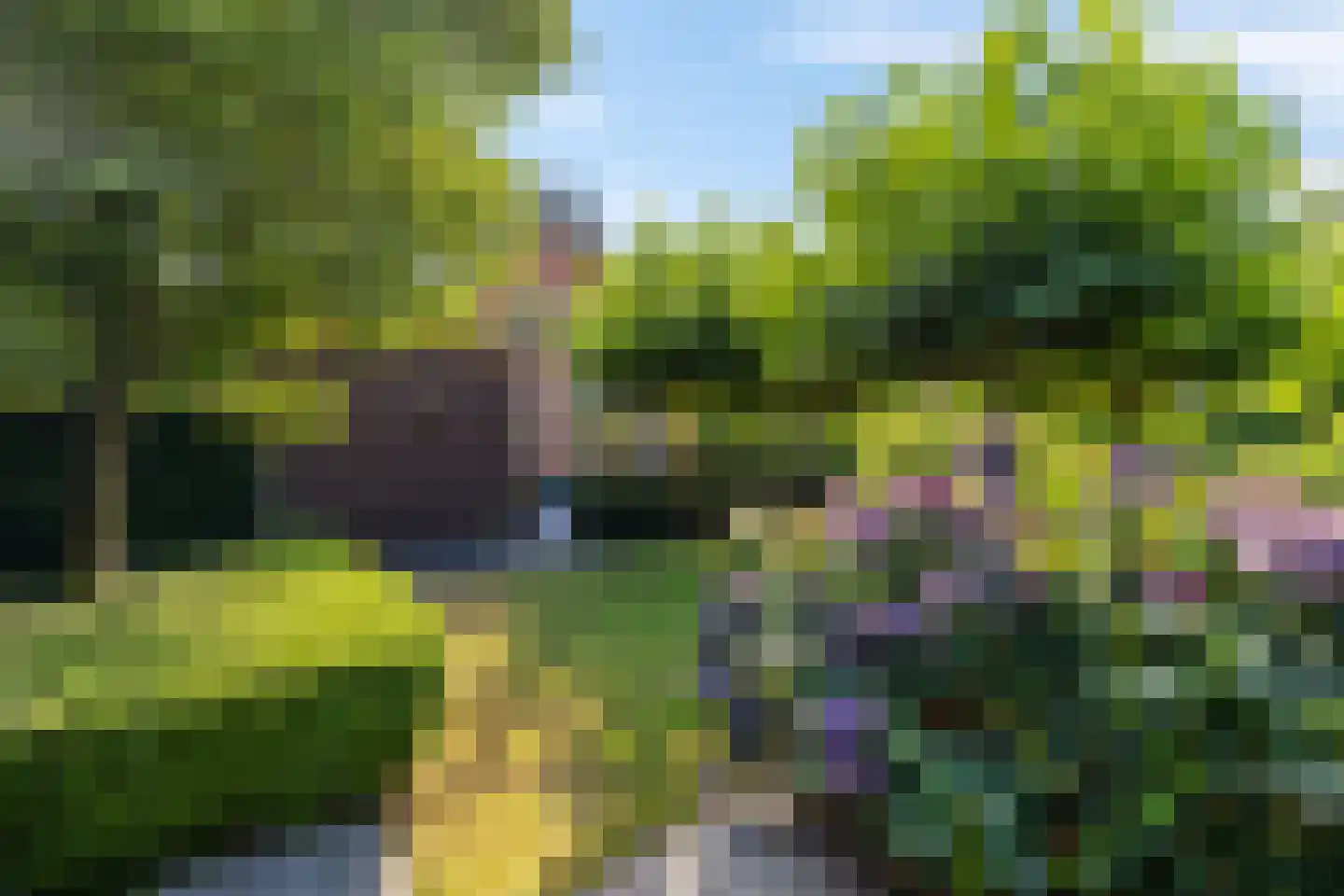 De Koppel Paarden 4 Marum thumbnail 38