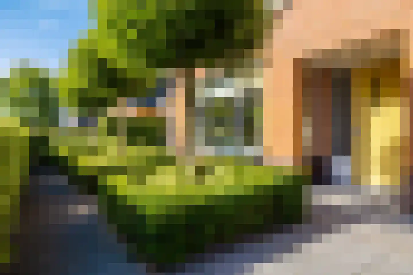 De Koppel Paarden 4 Marum thumbnail 4