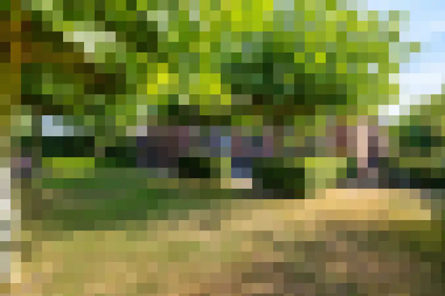 De Koppel Paarden 4 Marum thumbnail 40