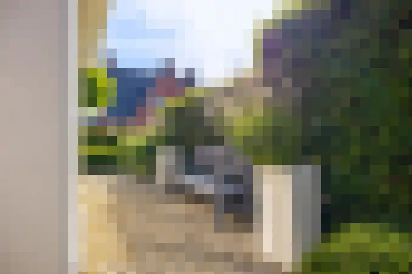 De Koppel Paarden 4 Marum thumbnail 43