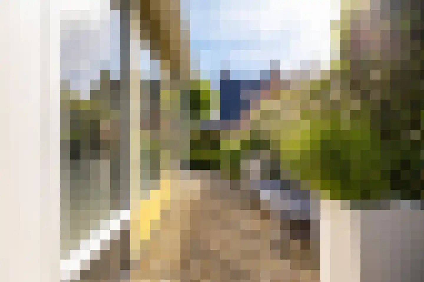 De Koppel Paarden 4 Marum thumbnail 44
