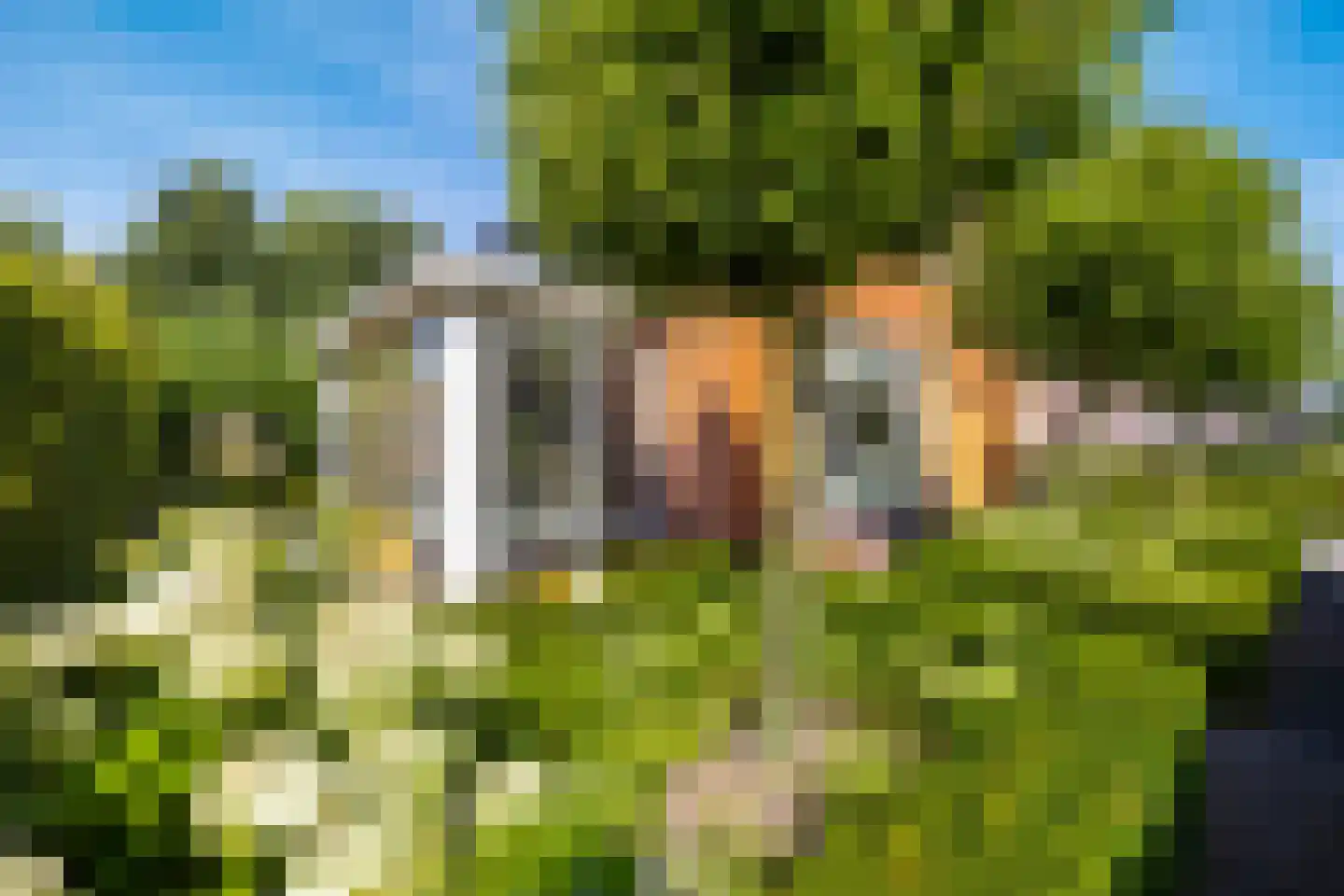 De Koppel Paarden 4 Marum thumbnail 45