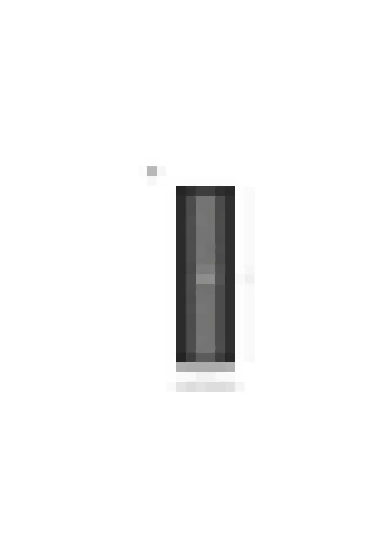 De Koppel Paarden 4 Marum thumbnail 63