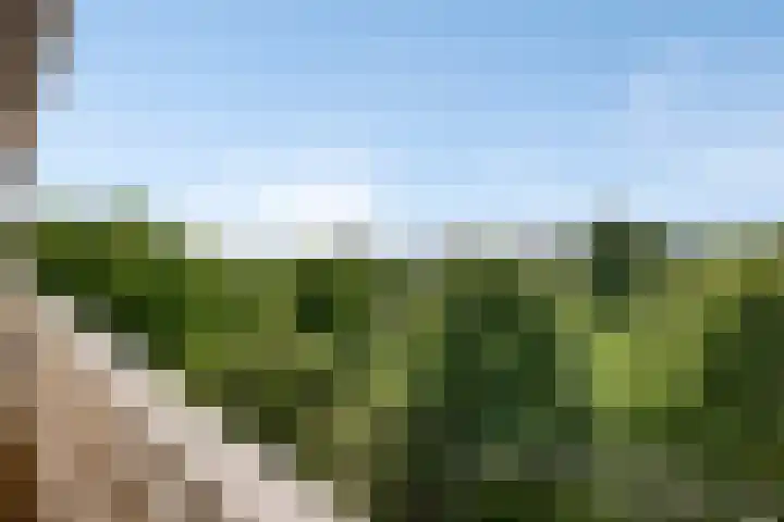 de Koppele 127 Eindhoven thumbnail 25