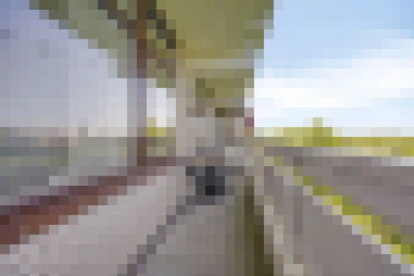 de Koppele 139 Eindhoven thumbnail 23