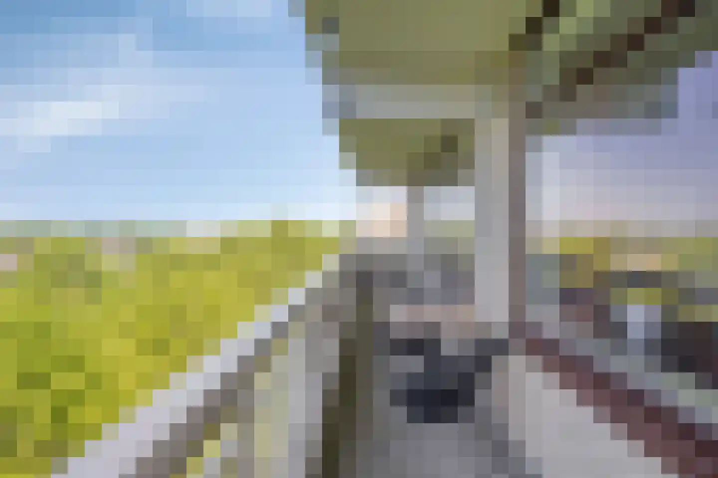 de Koppele 139 Eindhoven thumbnail 24
