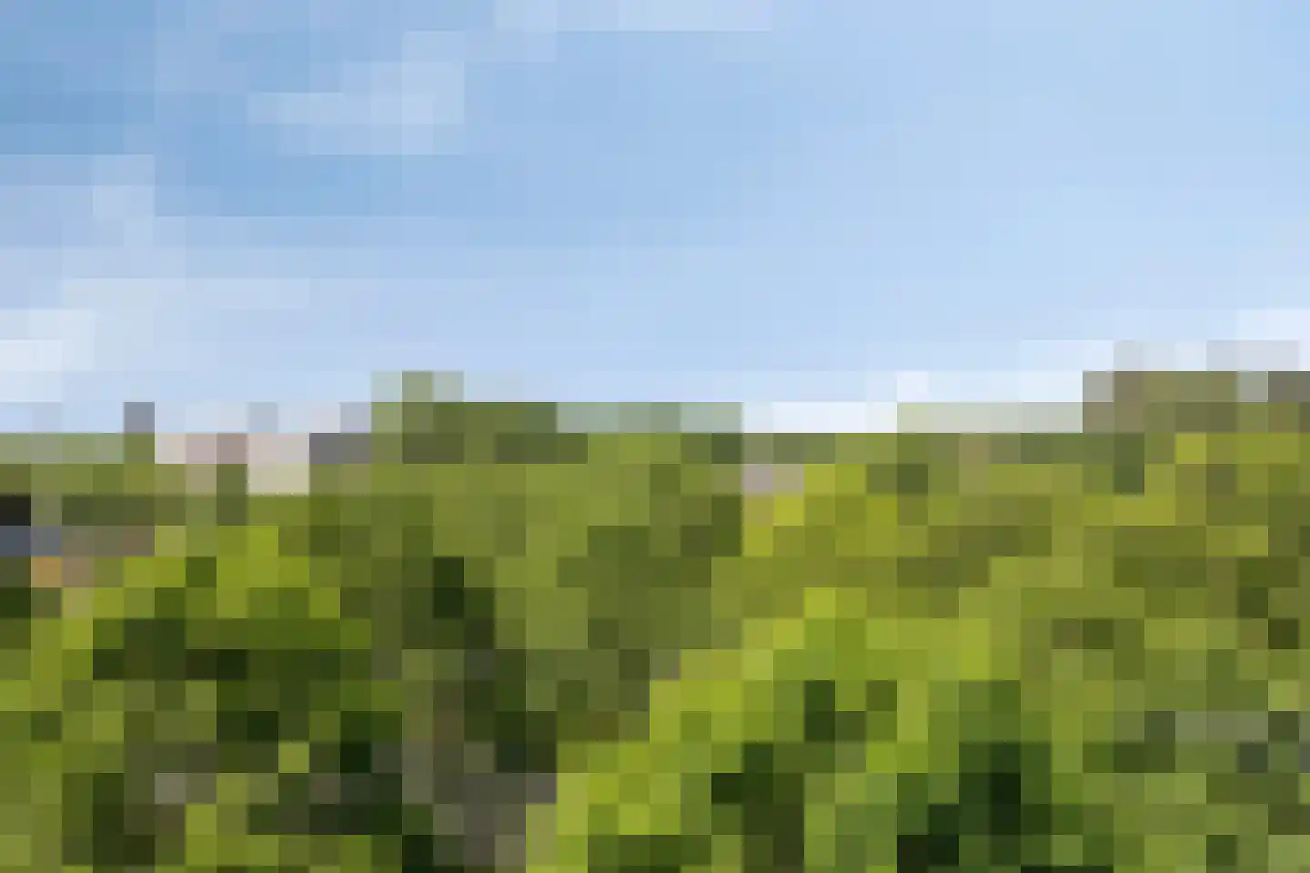 de Koppele 139 Eindhoven thumbnail 25