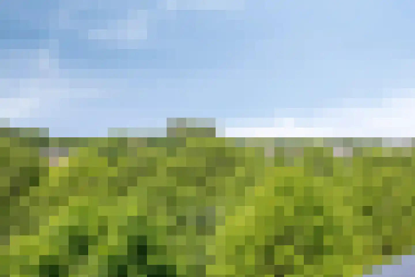 de Koppele 139 Eindhoven thumbnail 26