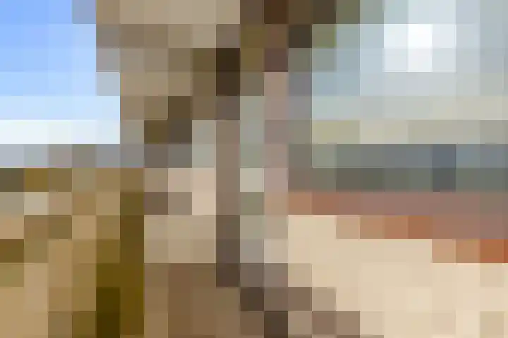 de Koppele 145 Eindhoven thumbnail 12