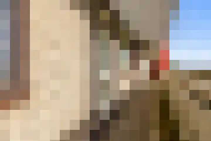 de Koppele 145 Eindhoven thumbnail 13