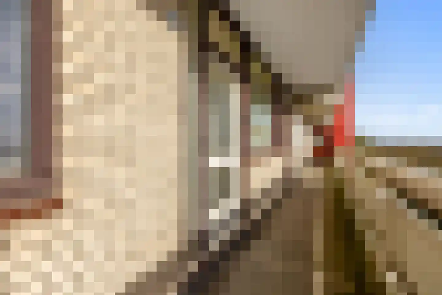 de Koppele 145 Eindhoven thumbnail 13