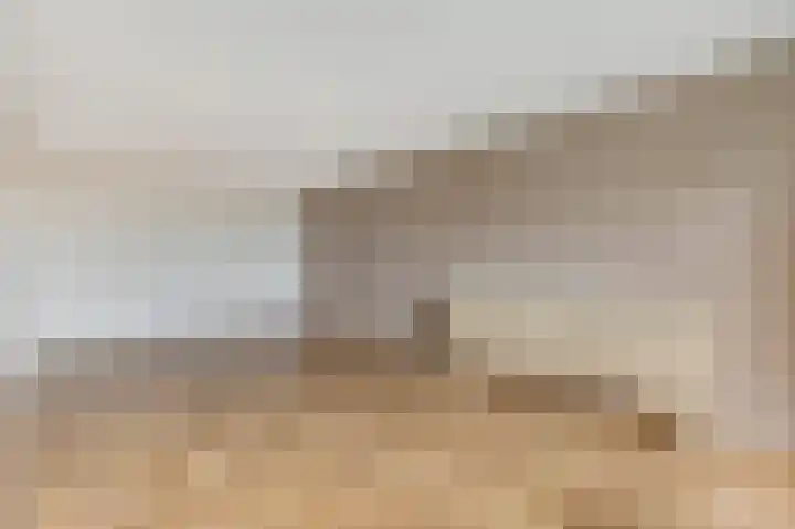 de Koppele 145 Eindhoven thumbnail 16