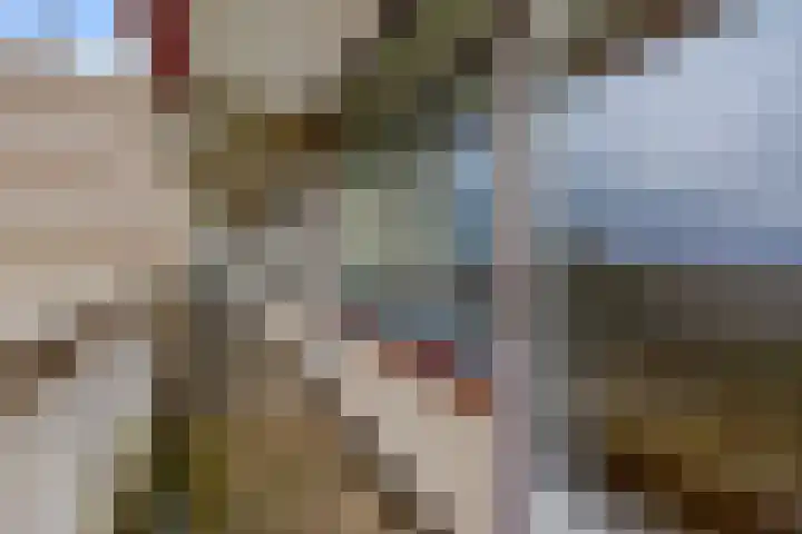 de Koppele 145 Eindhoven thumbnail 31