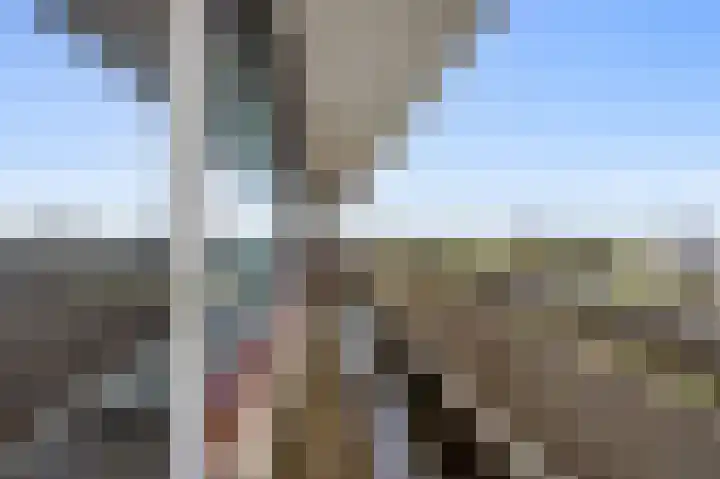 de Koppele 145 Eindhoven thumbnail 32