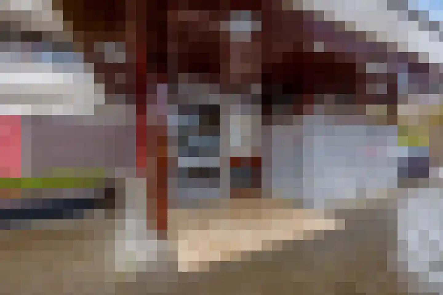 de Koppele 145 Eindhoven thumbnail 6