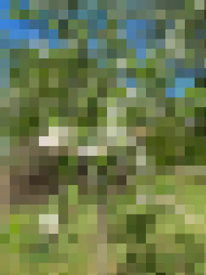 de Koppele 145 Eindhoven thumbnail 8
