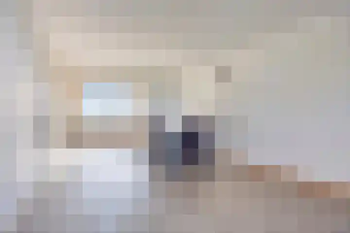 de Koppele 147 Eindhoven thumbnail 16