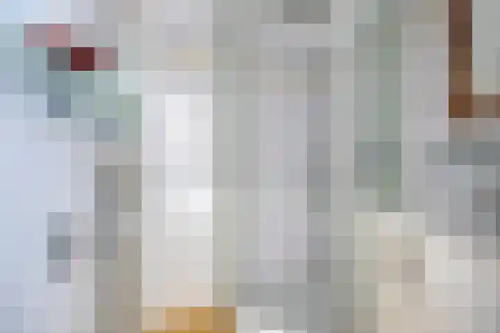 de Koppele 147 Eindhoven thumbnail 23