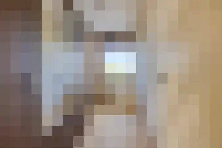 de Koppele 147 Eindhoven thumbnail 25