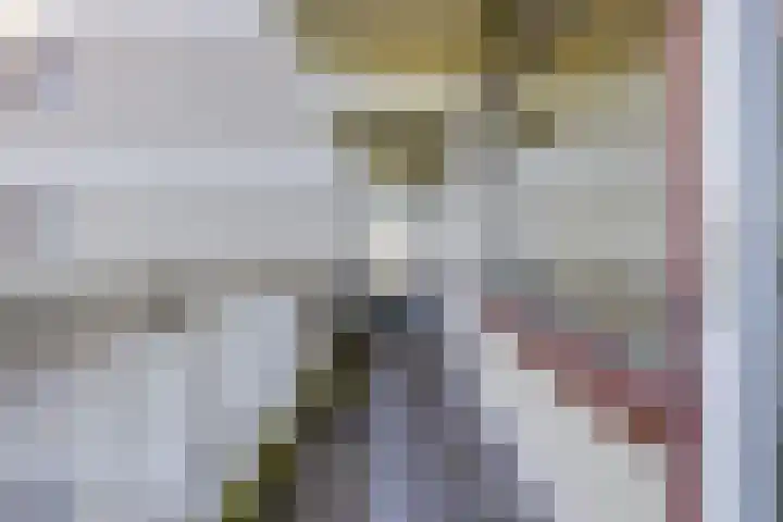 de Koppele 147 Eindhoven thumbnail 27