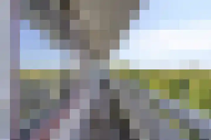 de Koppele 147 Eindhoven thumbnail 28