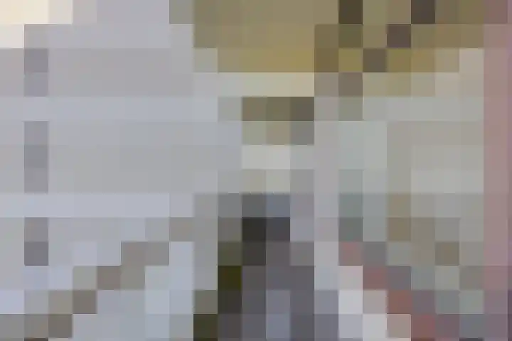 de Koppele 147 Eindhoven thumbnail 29