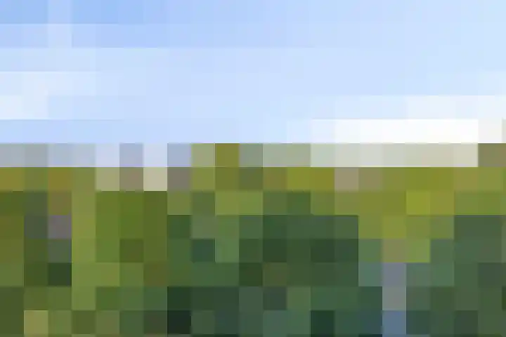 de Koppele 147 Eindhoven thumbnail 30