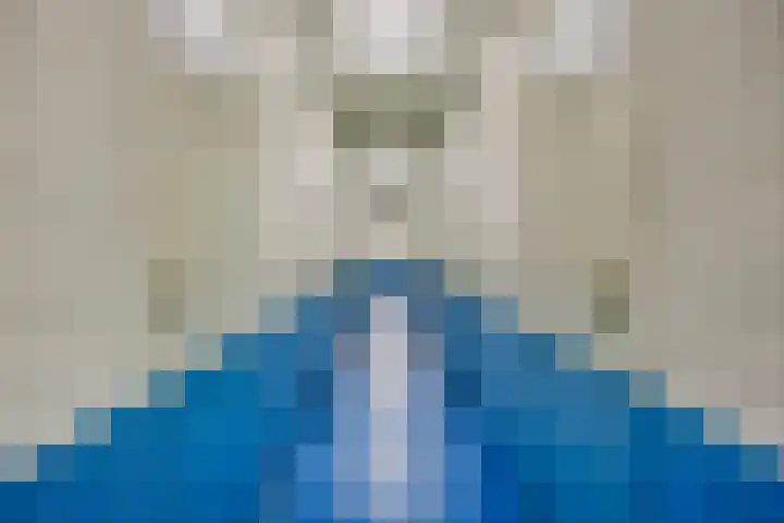 de Koppele 147 Eindhoven thumbnail 31