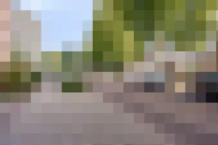 de Koppele 147 Eindhoven thumbnail 34
