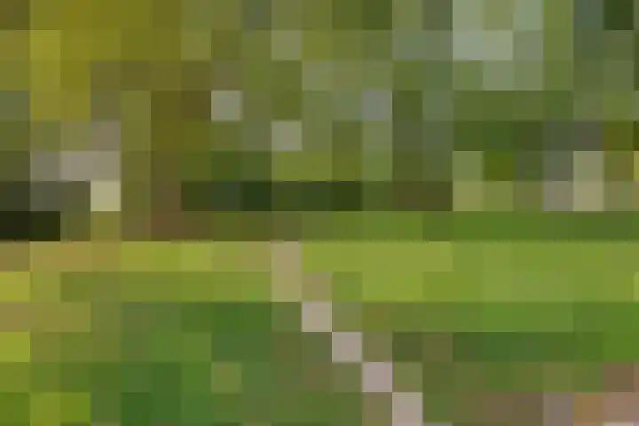 de Koppele 147 Eindhoven thumbnail 35