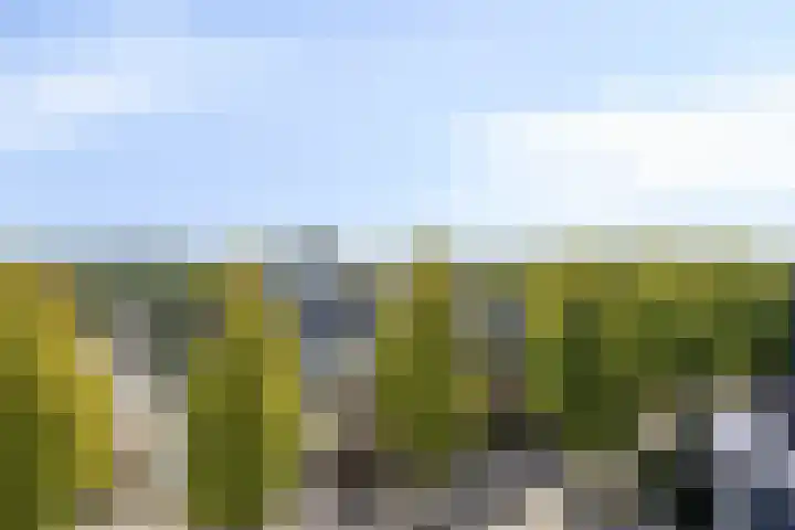 de Koppele 147 Eindhoven thumbnail 4