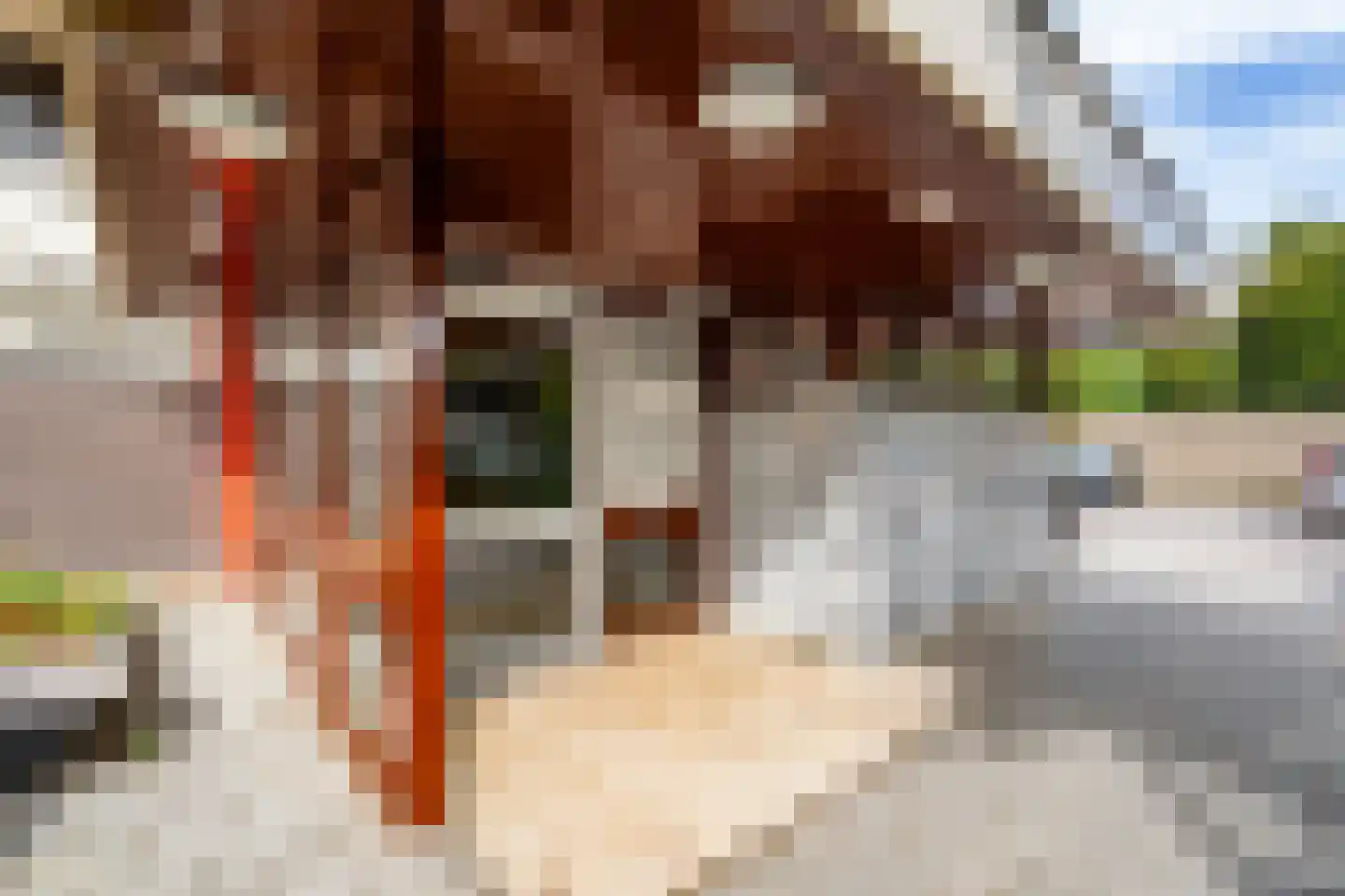 de Koppele 155 Eindhoven thumbnail 10