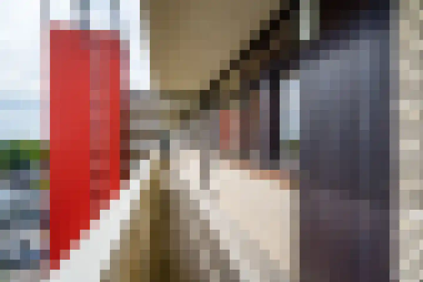 de Koppele 155 Eindhoven thumbnail 15