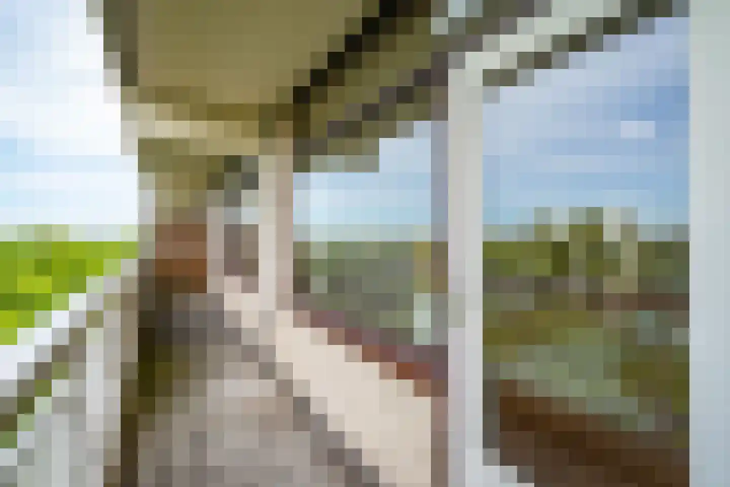 de Koppele 155 Eindhoven thumbnail 23