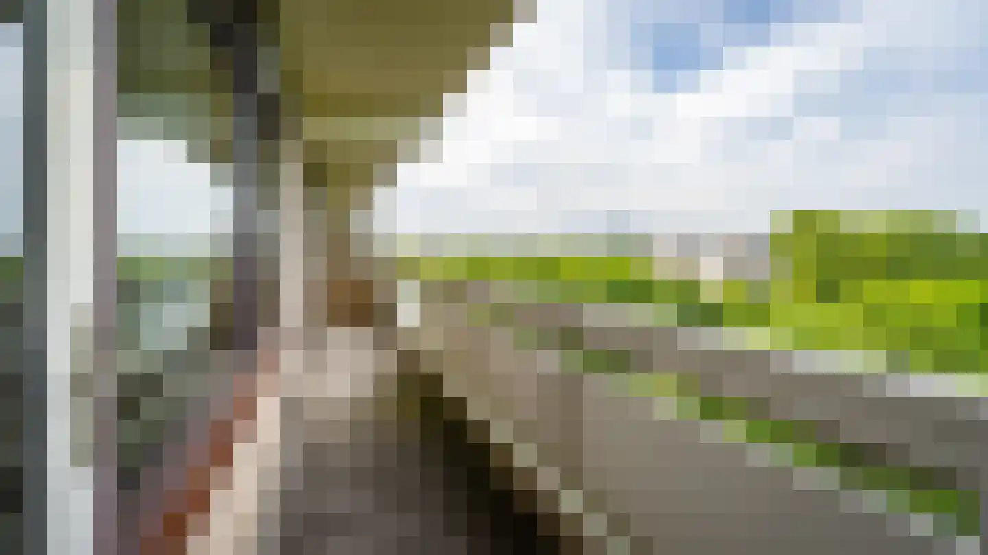 de Koppele 155 Eindhoven thumbnail 24