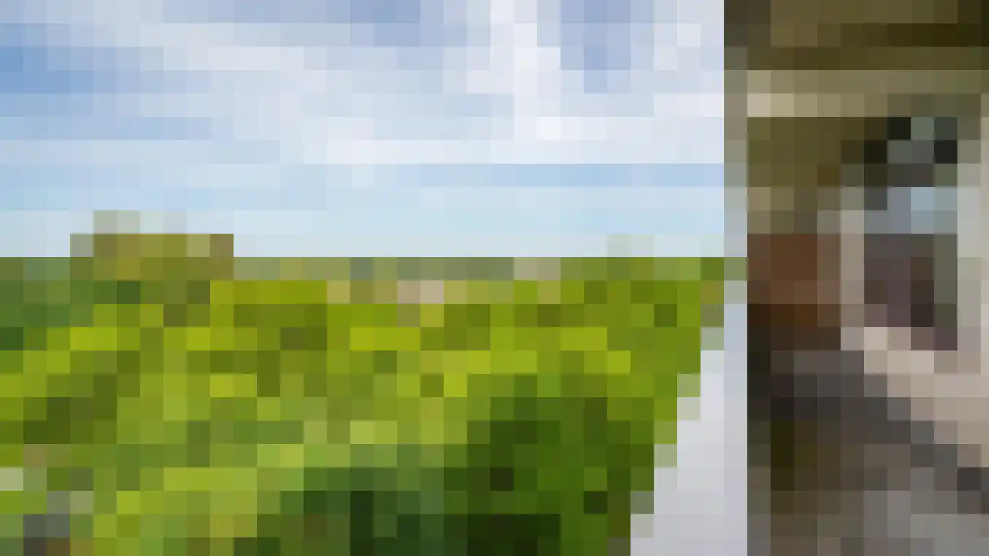de Koppele 155 Eindhoven thumbnail 25