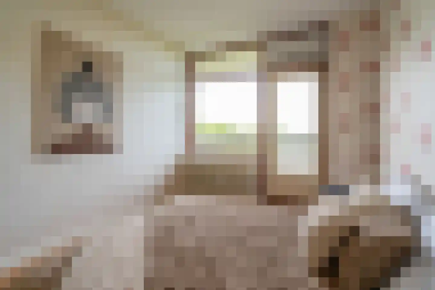de Koppele 155 Eindhoven thumbnail 31