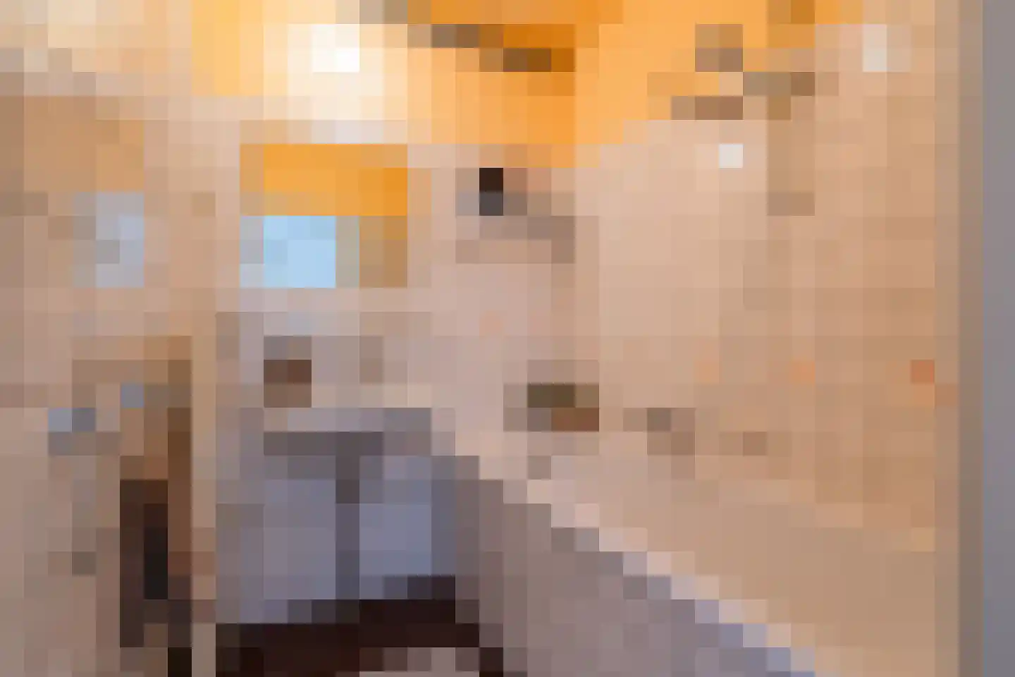 de Koppele 155 Eindhoven thumbnail 34