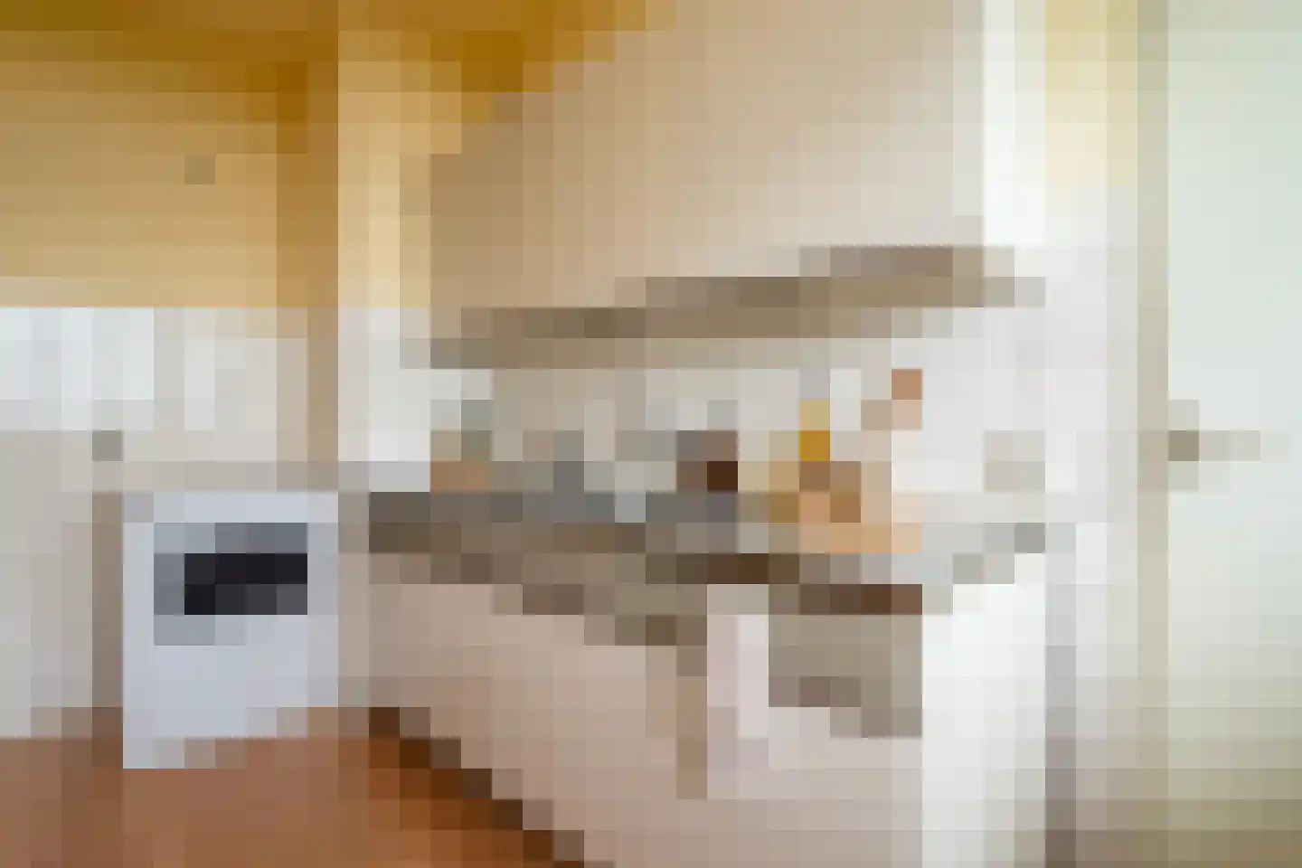 de Koppele 155 Eindhoven thumbnail 36