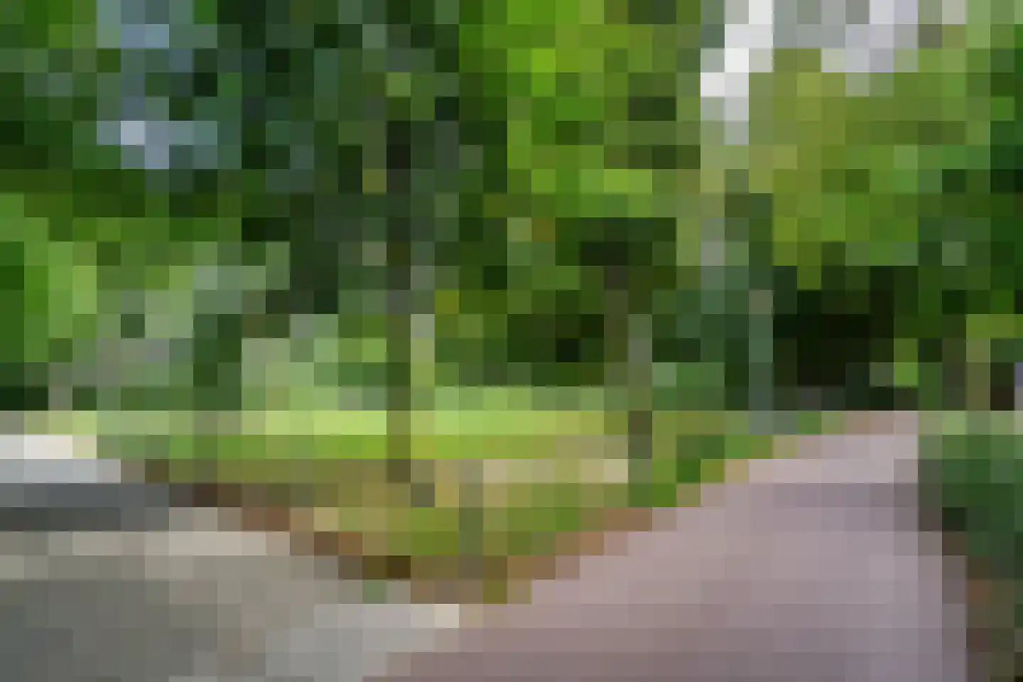 de Koppele 155 Eindhoven thumbnail 45